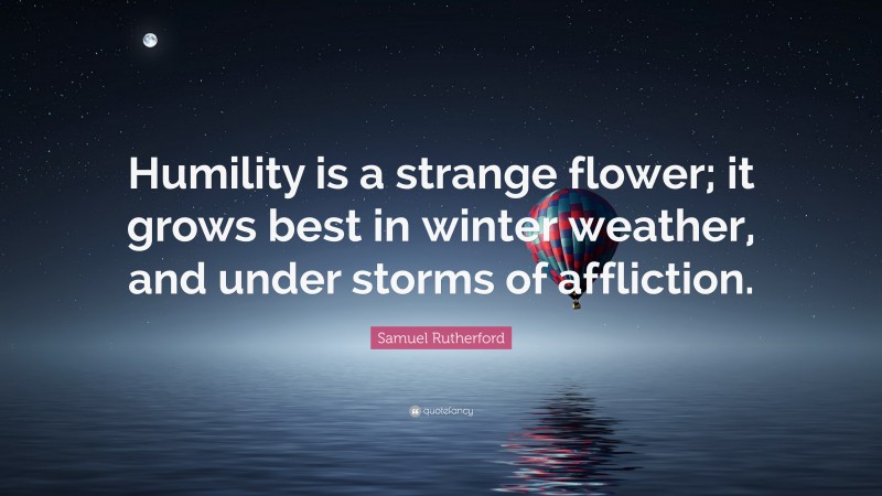 Samuel Rutherford Quote: “Humility is a strange flower; it grows best in winter weather, and under storms of affliction.”