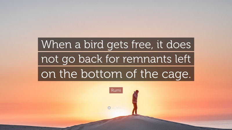 Rumi Quote: “When a bird gets free, it does not go back for remnants left on the bottom of the cage.”