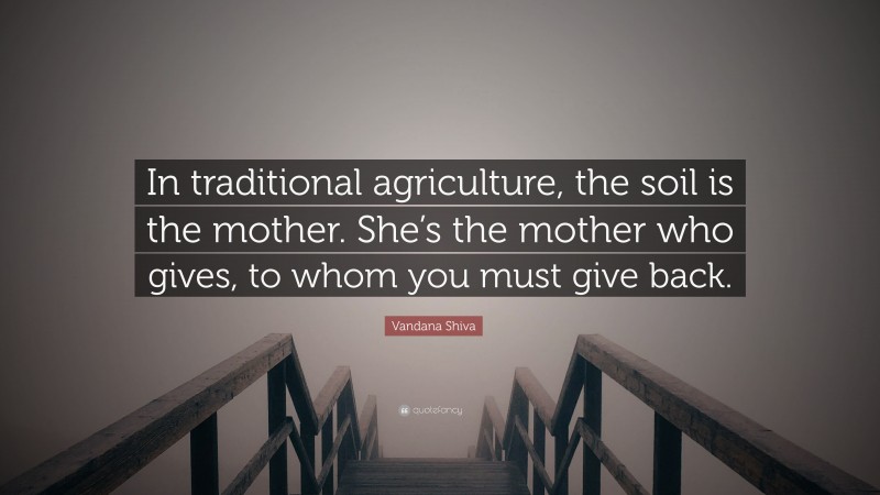 Vandana Shiva Quote: “In traditional agriculture, the soil is the mother. She’s the mother who gives, to whom you must give back.”