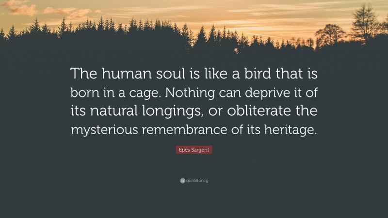 Epes Sargent Quote: “The human soul is like a bird that is born in a cage. Nothing can deprive it of its natural longings, or obliterate the mysterious remembrance of its heritage.”