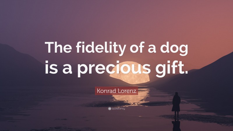 Konrad Lorenz Quote: “The fidelity of a dog is a precious gift.”