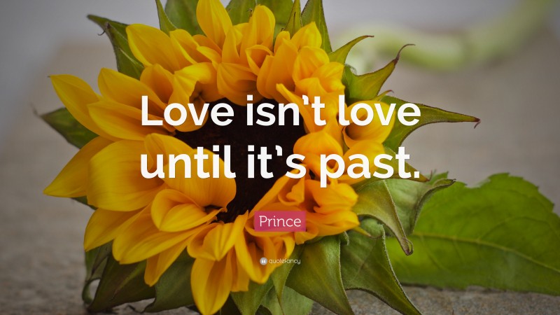 Prince Quote: “Love isn’t love until it’s past.”