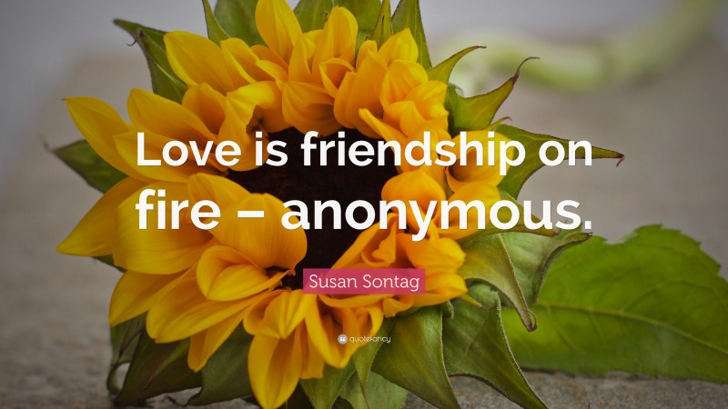 Susan Sontag Quote: “Love is friendship on fire – anonymous.”
