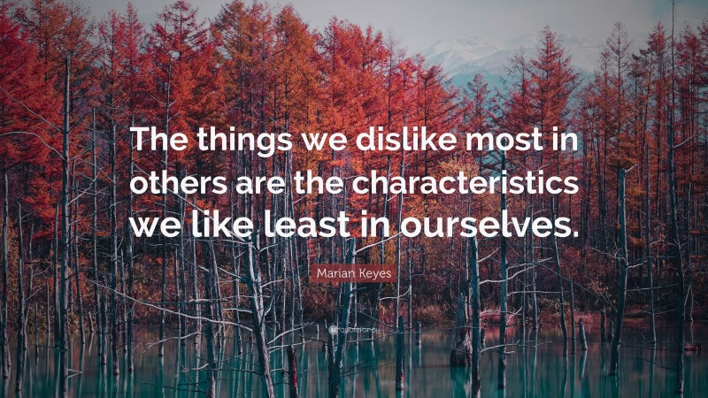 Marian Keyes Quote: “The things we dislike most in others are the characteristics we like least in ourselves.”
