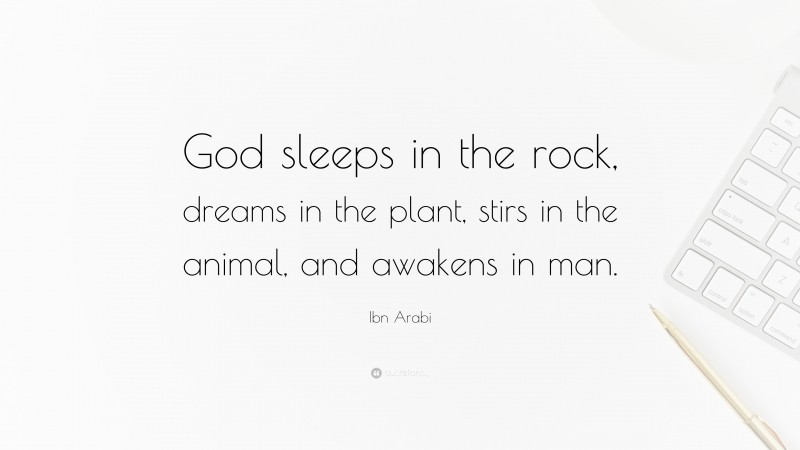 Ibn Arabi Quote: “God sleeps in the rock, dreams in the plant, stirs in the animal, and awakens in man.”