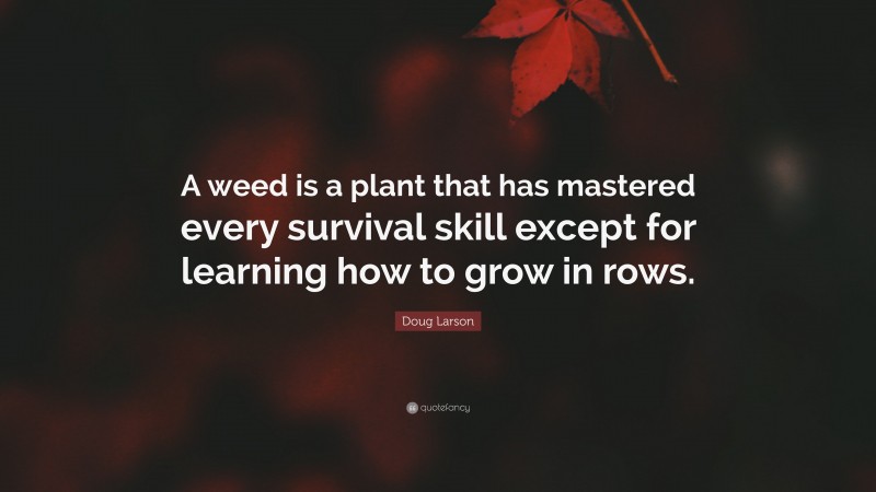 Doug Larson Quote: “A weed is a plant that has mastered every survival skill except for learning how to grow in rows.”
