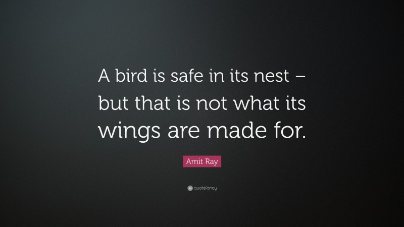 Amit Ray Quote: “A bird is safe in its nest – but that is not what its wings are made for.”