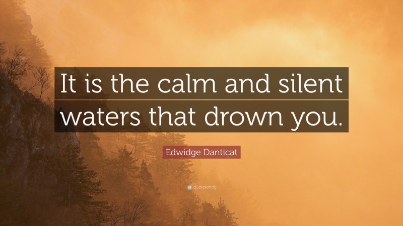 Edwidge Danticat Quote: “It is the calm and silent waters that drown you.”