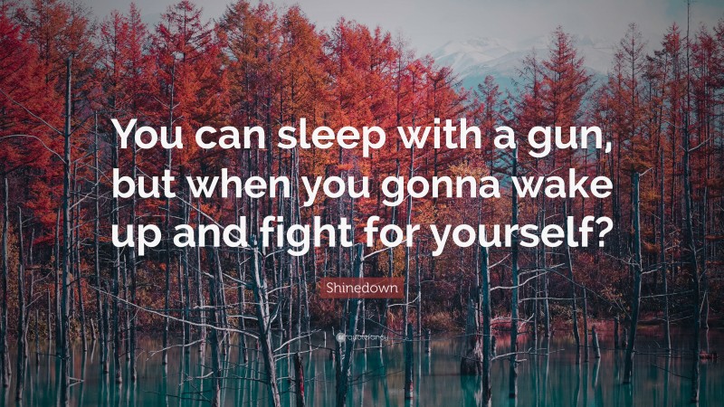 Shinedown Quote: “You can sleep with a gun, but when you gonna wake up and fight for yourself?”