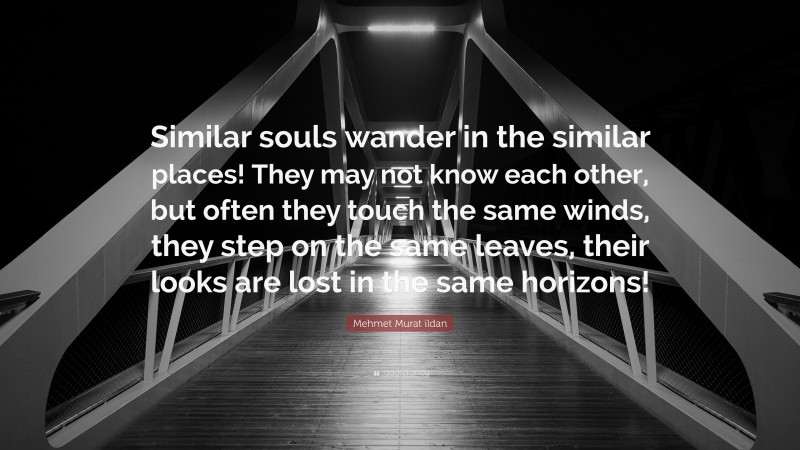 Mehmet Murat ildan Quote: “Similar souls wander in the similar places! They may not know each other, but often they touch the same winds, they step on the same leaves, their looks are lost in the same horizons!”