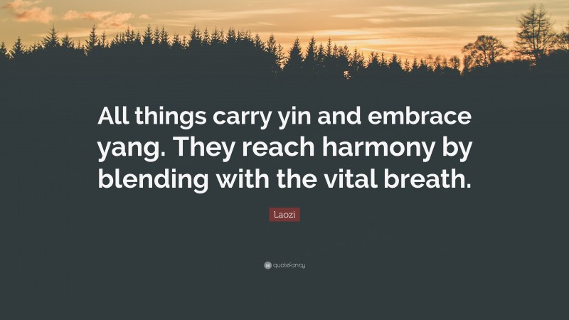 Laozi Quote: “All things carry yin and embrace yang. They reach harmony by blending with the vital breath.”