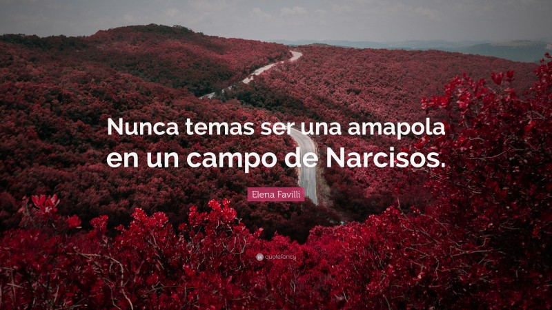 Elena Favilli Quote: “Nunca temas ser una amapola en un campo de Narcisos.”
