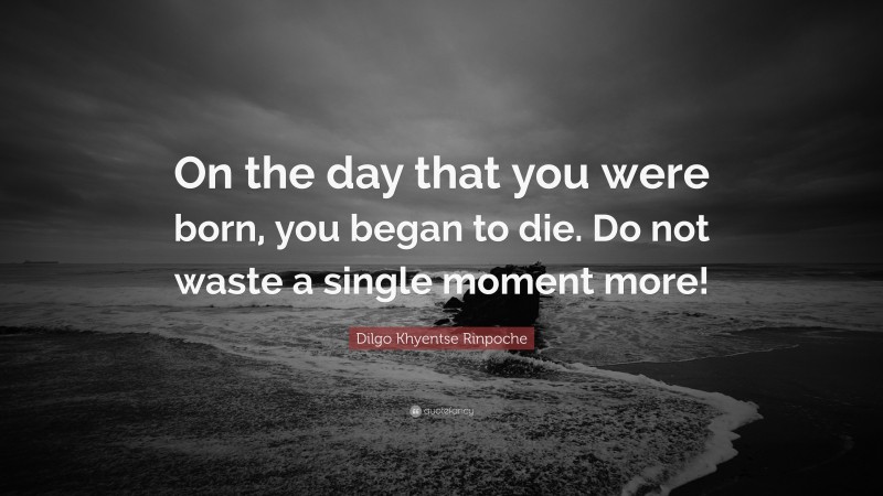 Dilgo Khyentse Rinpoche Quote: “On the day that you were born, you began to die. Do not waste a single moment more!”