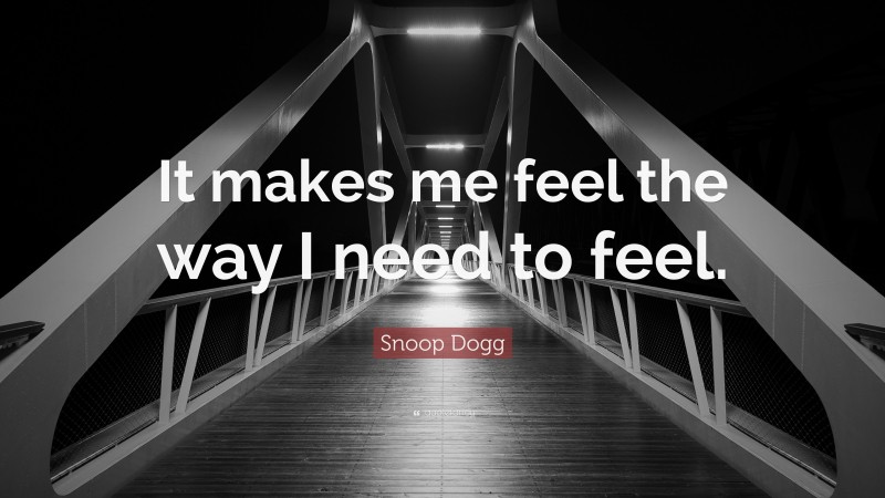 Snoop Dogg Quote: “It makes me feel the way I need to feel.”
