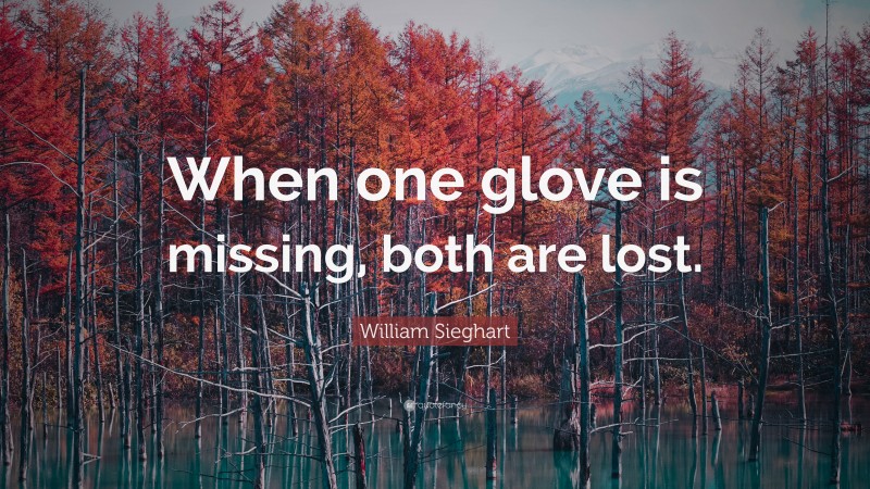 William Sieghart Quote: “When one glove is missing, both are lost.”