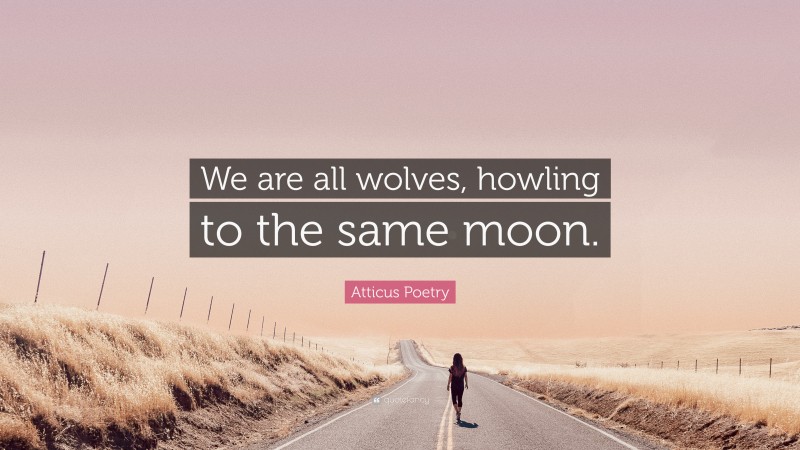 Atticus Poetry Quote: “We are all wolves, howling to the same moon.”