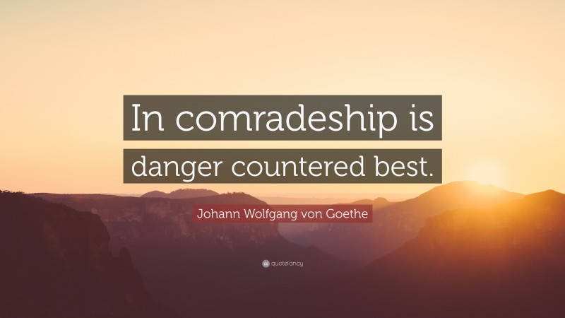 Johann Wolfgang von Goethe Quote: “In comradeship is danger countered best.”