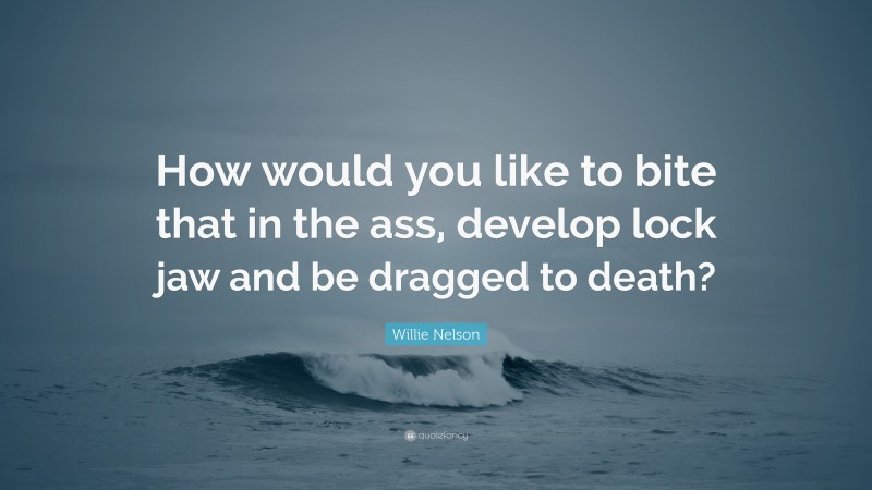 Willie Nelson Quote: “How would you like to bite that in the ass, develop lock jaw and be dragged to death?”