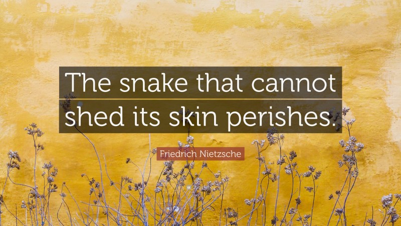 Friedrich Nietzsche Quote: “The snake that cannot shed its skin perishes.”