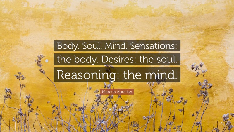 Marcus Aurelius Quote: “Body. Soul. Mind. Sensations: the body. Desires: the soul. Reasoning: the mind.”
