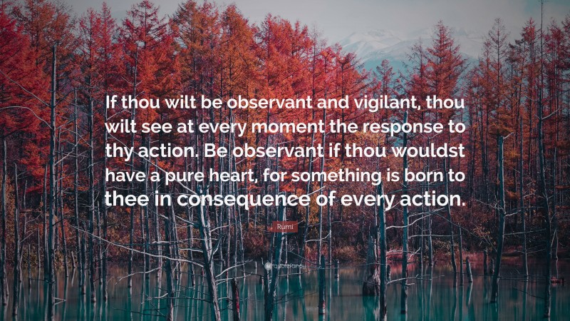 Rumi Quote: “If thou wilt be observant and vigilant, thou wilt see at every moment the response to thy action. Be observant if thou wouldst have a pure heart, for something is born to thee in consequence of every action.”