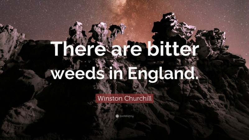 Winston Churchill Quote: “There are bitter weeds in England.”
