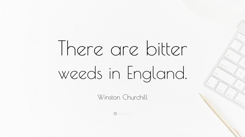 Winston Churchill Quote: “There are bitter weeds in England.”