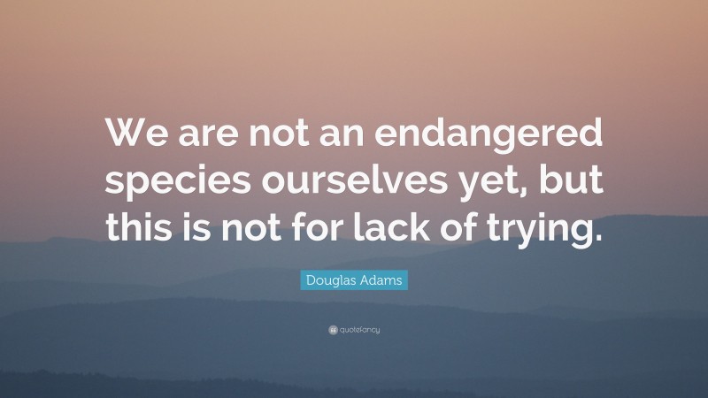 Douglas Adams Quote: “We are not an endangered species ourselves yet, but this is not for lack of trying.”