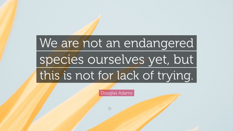Douglas Adams Quote: “We are not an endangered species ourselves yet, but this is not for lack of trying.”