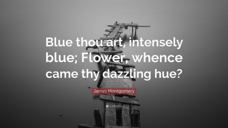 James Montgomery Quote: “Blue thou art, intensely blue; Flower, whence came thy dazzling hue?”