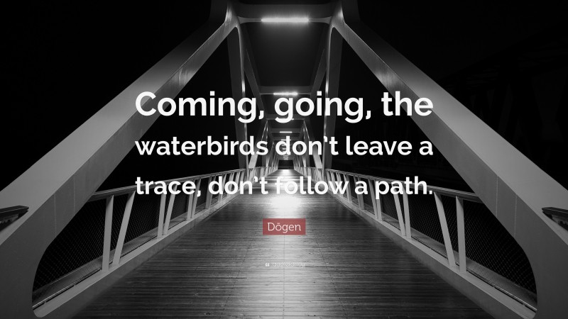Dōgen Quote: “Coming, going, the waterbirds don’t leave a trace, don’t follow a path.”