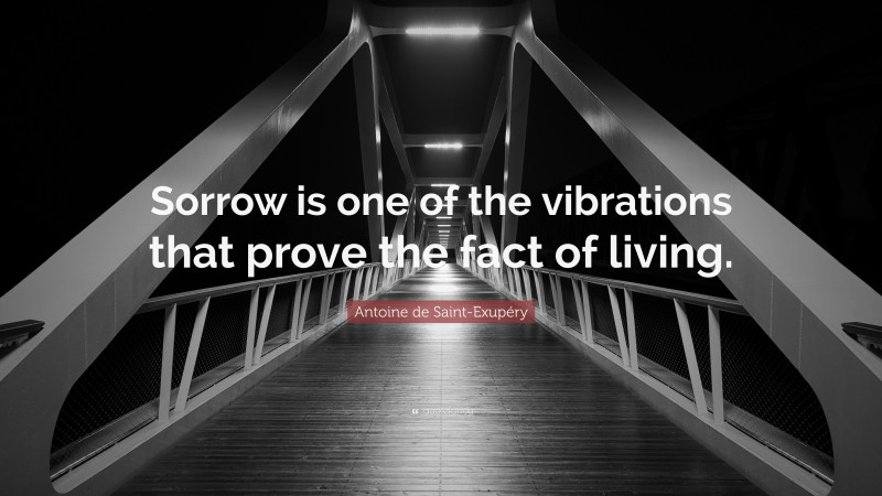 Antoine de Saint-Exupéry Quote: “Sorrow is one of the vibrations that prove the fact of living.”