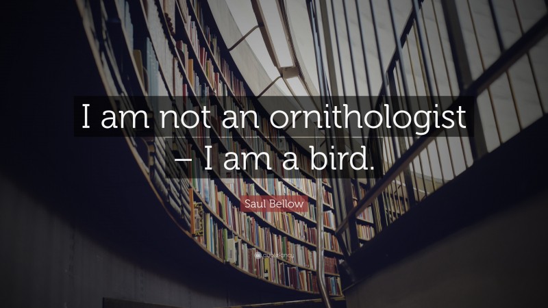 Saul Bellow Quote: “I am not an ornithologist – I am a bird.”