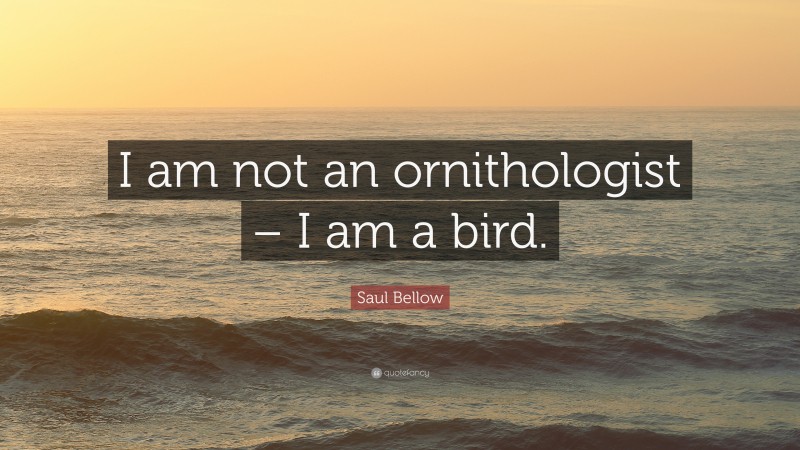Saul Bellow Quote: “I am not an ornithologist – I am a bird.”