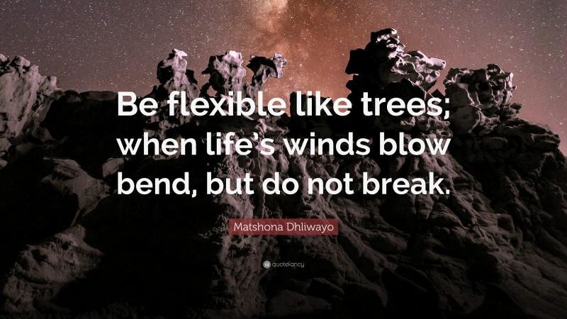 Matshona Dhliwayo Quote: “Be flexible like trees; when life’s winds blow bend, but do not break.”