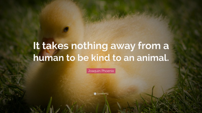 Joaquin Phoenix Quote: “It takes nothing away from a human to be kind to an animal.”