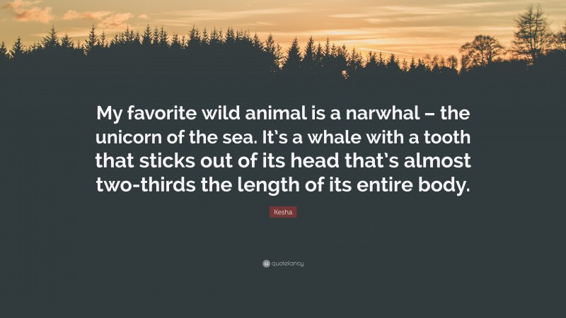 Kesha Quote: “My favorite wild animal is a narwhal – the unicorn of the sea. It’s a whale with a tooth that sticks out of its head that’s almost two-thirds the length of its entire body.”