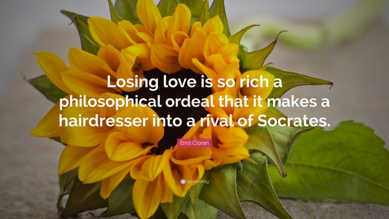 Emil Cioran Quote: “Losing love is so rich a philosophical ordeal that it makes a hairdresser into a rival of Socrates.”