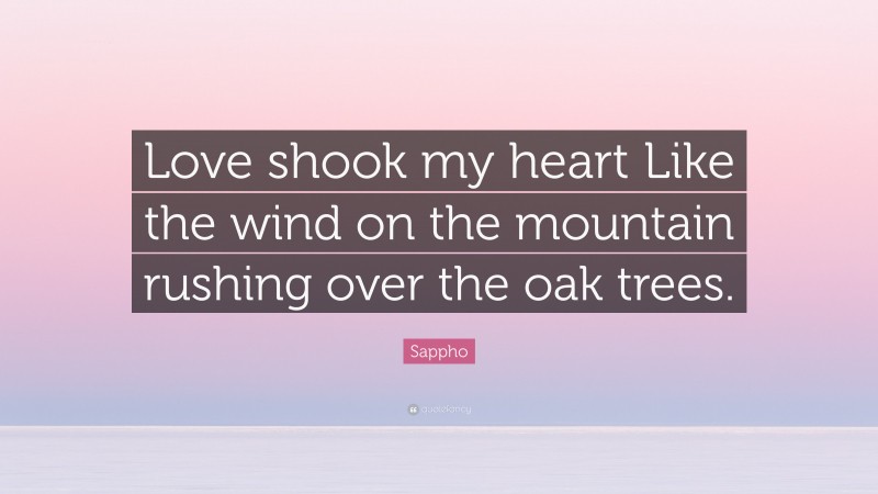 Sappho Quote: “Love shook my heart Like the wind on the mountain rushing over the oak trees.”