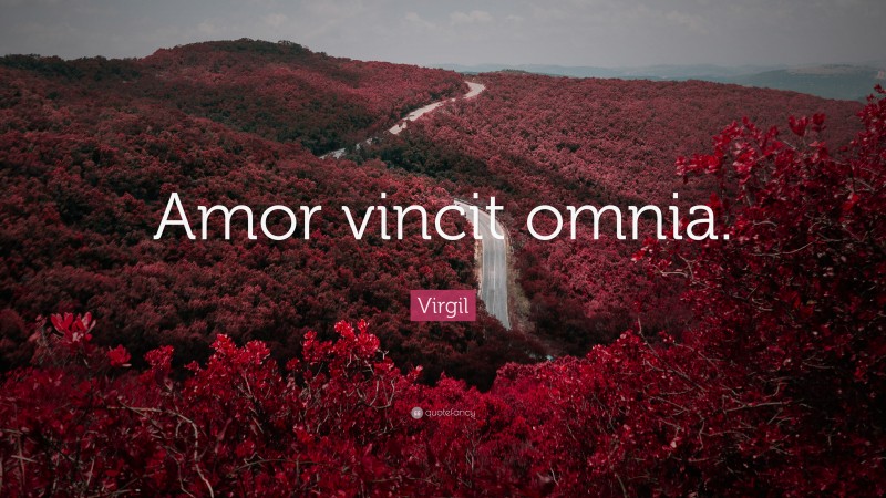 Virgil Quote: “Amor vincit omnia.”