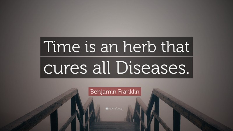 Benjamin Franklin Quote: “Time is an herb that cures all Diseases.”