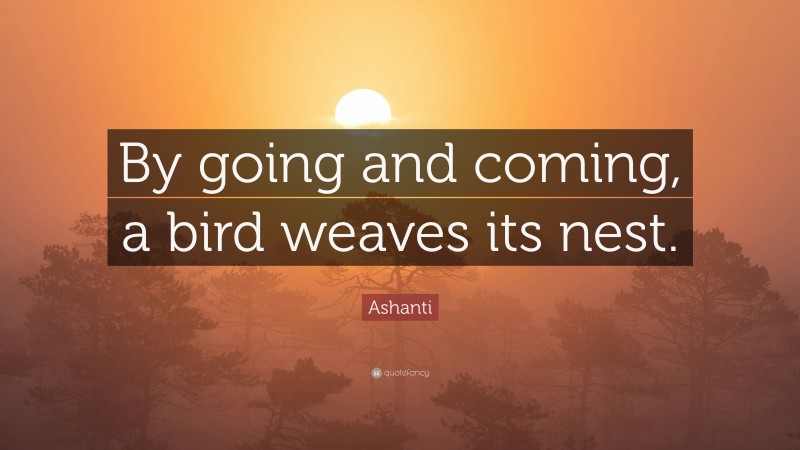 Ashanti Quote: “By going and coming, a bird weaves its nest.”