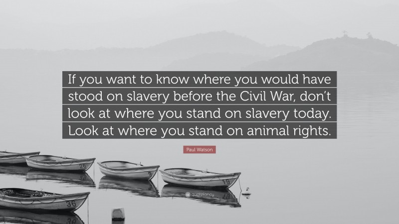 Paul Watson Quote: “If you want to know where you would have stood on slavery before the Civil War, don’t look at where you stand on slavery today. Look at where you stand on animal rights.”