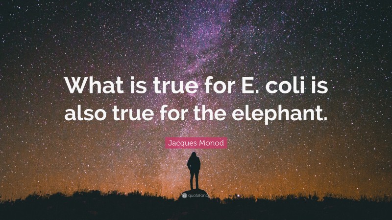 Jacques Monod Quote: “What is true for E. coli is also true for the elephant.”