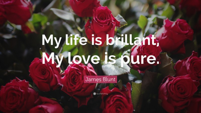 James Blunt Quote: “My life is brillant, My love is pure.”