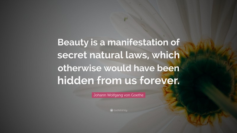 Johann Wolfgang von Goethe Quote: “Beauty is a manifestation of secret natural laws, which otherwise would have been hidden from us forever.”
