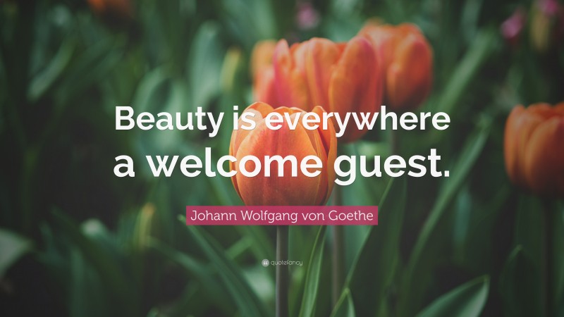 Johann Wolfgang von Goethe Quote: “Beauty is everywhere a welcome guest.”