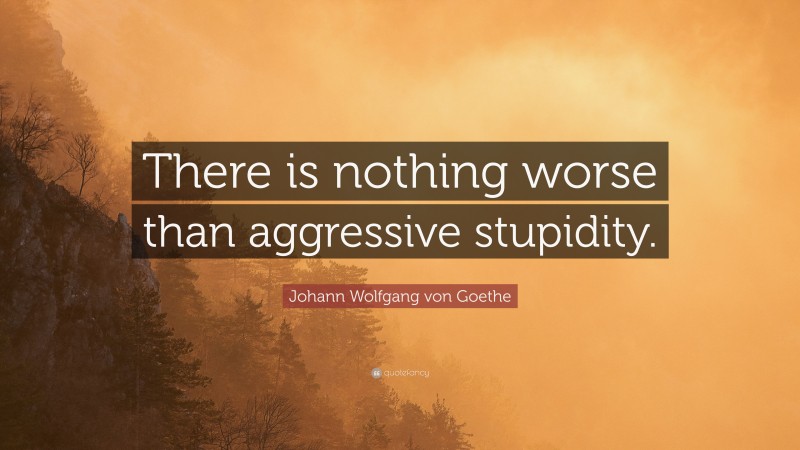 Johann Wolfgang von Goethe Quote: “There is nothing worse than aggressive stupidity.”