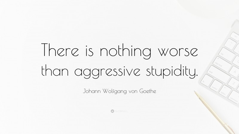 Johann Wolfgang von Goethe Quote: “There is nothing worse than aggressive stupidity.”