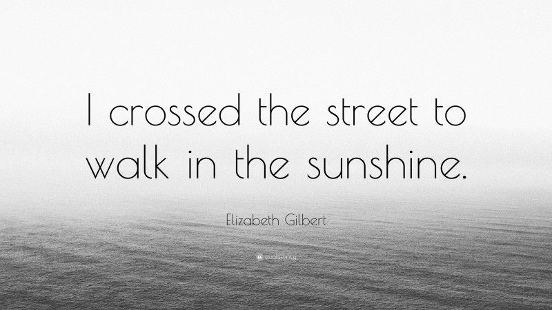 Elizabeth Gilbert Quote: “I crossed the street to walk in the sunshine.”